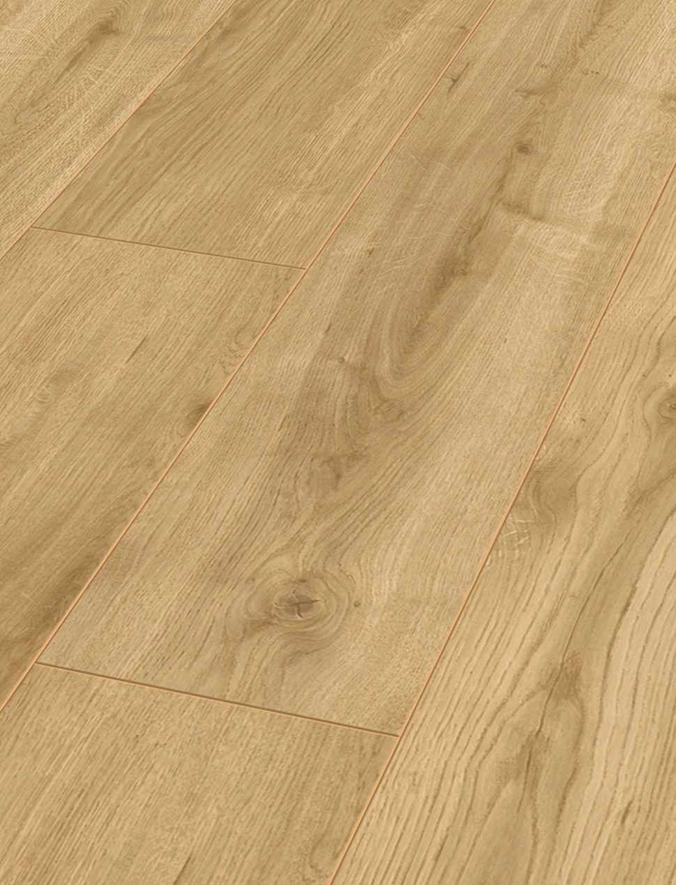 san_go_myfloor_M1241_3